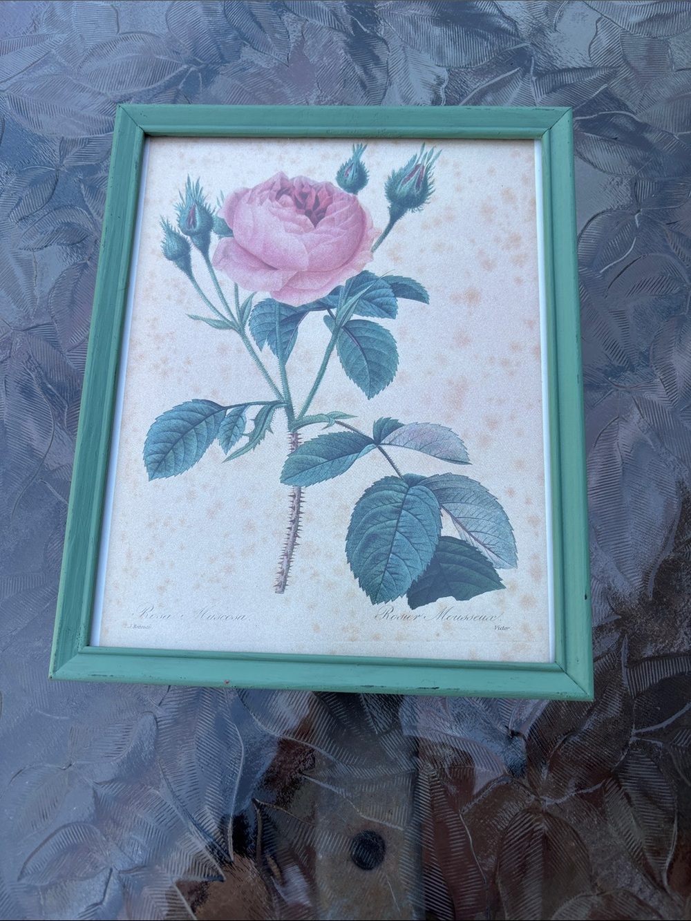 Vintage Rose Print